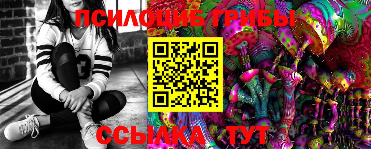 Алексеевка  цены   Вход с VPN  Псилоцибиновые грибы мицелий 