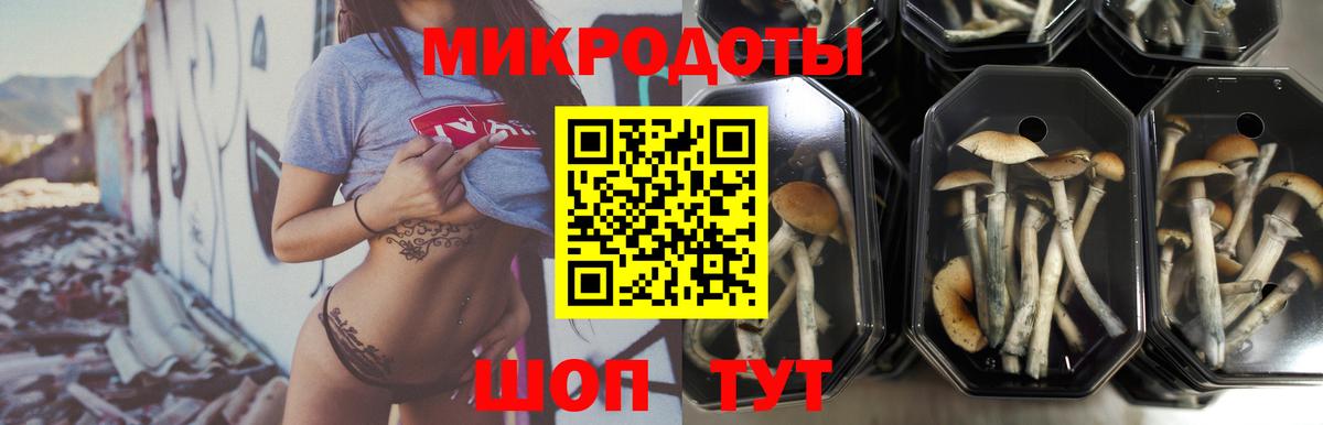 Псилоцибиновые грибы ЛСД Алексеевка